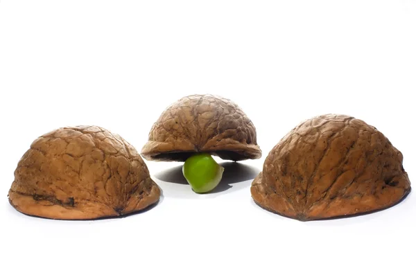 Threes shells and a pea — Stock Photo, Image
