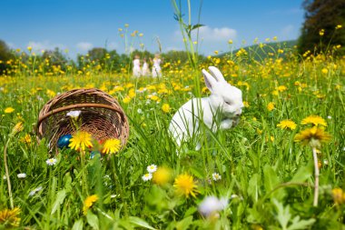 güzel bir easter bunny