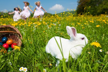 güzel bir easter bunny