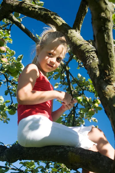 Una bambina che raccoglie una mela — Foto Stock