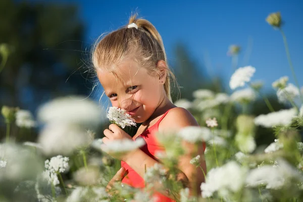 Uma menina agradável cheirando em — Fotografia de Stock