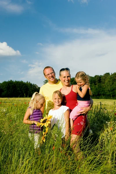 Familia en la hierba en un — Foto de Stock