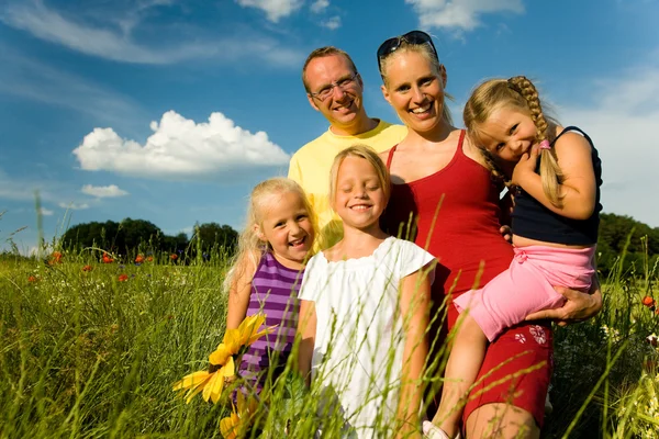 Семья в траве на — стоковое фото