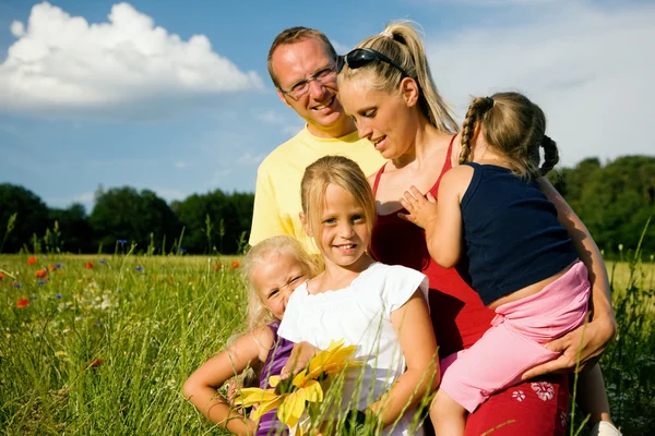 Rodziny w trawie na — Zdjęcie stockowe