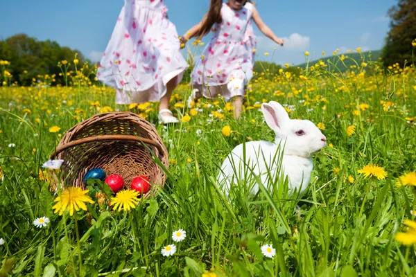 Velikonoční zajíček na krásné — Stock fotografie