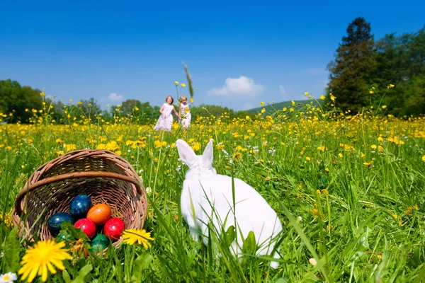 Velikonoční zajíček na krásné — Stock fotografie