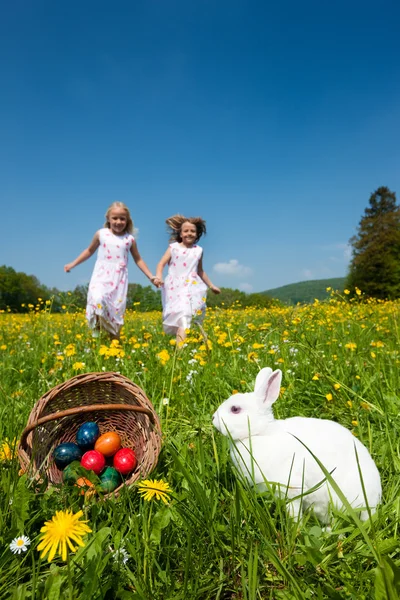 Conejito de Pascua en una hermosa — Foto de Stock