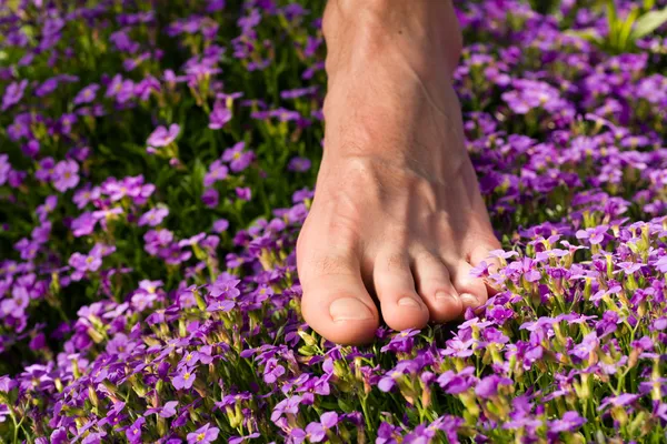 Serie gesunde Füße: männlicher Fuß — Stockfoto