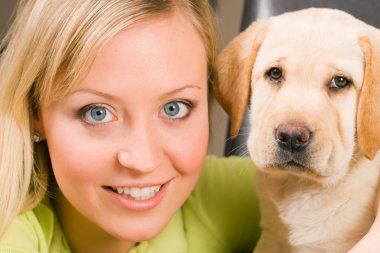 Tatlı labrador av köpeği yavrusu