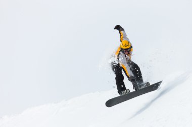 Alplerde snowboard