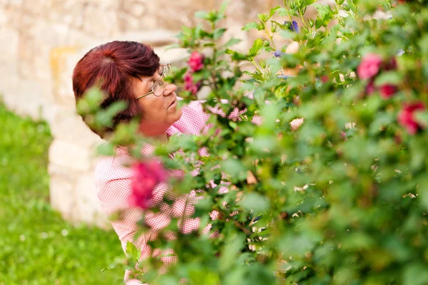 Jardinería - cosecha de la mujer — Foto de Stock