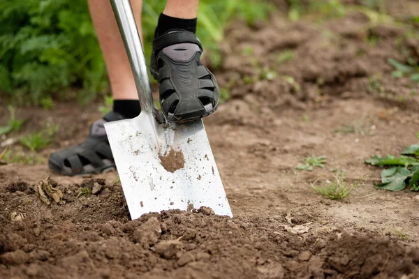 Gardener - only feet to be seen — Stock Photo, Image