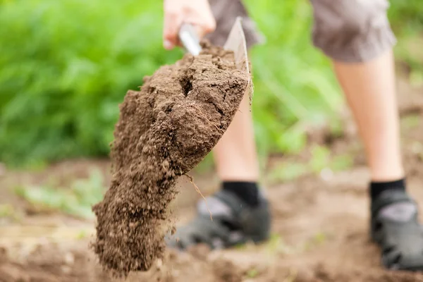Jardineiro - só pernas a serem vistas — Fotografia de Stock