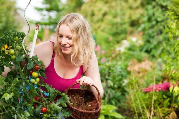 Садівництво - красива жінка — стокове фото