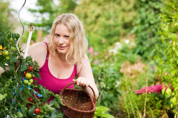 Gartenarbeit - schöne Frau — Stockfoto