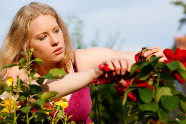 Женщина занимается садоводством — стоковое фото