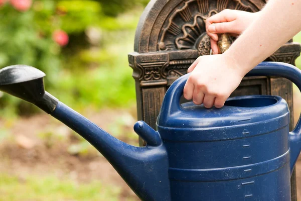 Kvinna trädgårdsmästare vattna den — Stockfoto