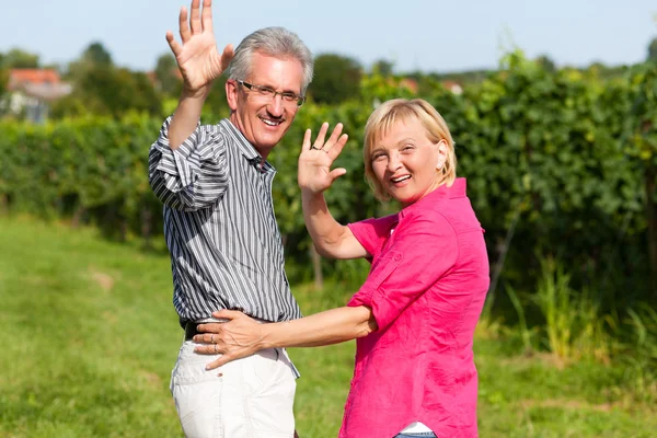 Ältere oder ältere Paare tun — Stockfoto