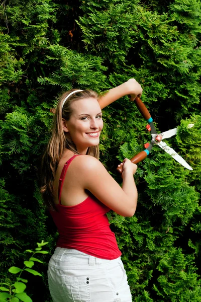 Vrouw tuinman trimmen de — Stockfoto