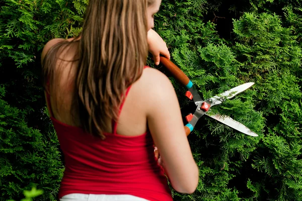 Kadın bahçıvan kırpma — Stok fotoğraf
