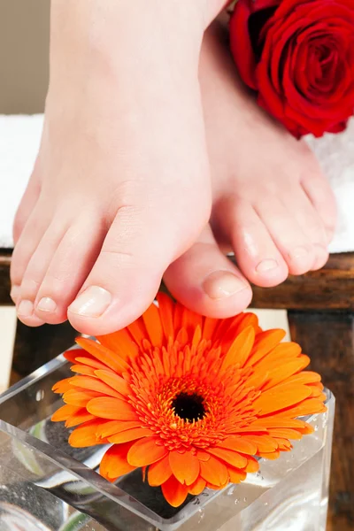 Feet receiving a massage — Stock Photo, Image