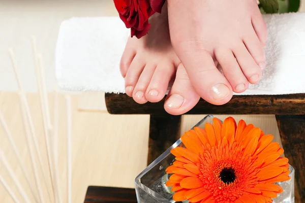 Feet receiving a massage — Stock Photo, Image