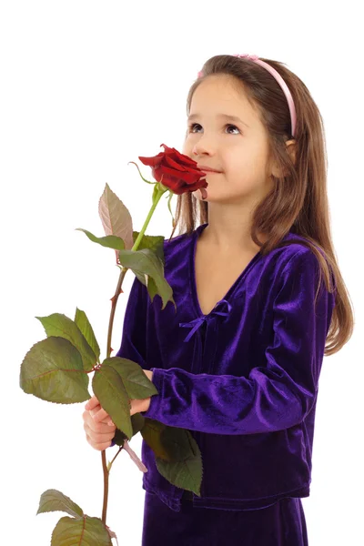 Menina Sonhando Com Uma Rosa Isolado Branco — Fotografia de Stock
