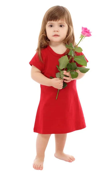 Малыш с розовой розой — стоковое фото