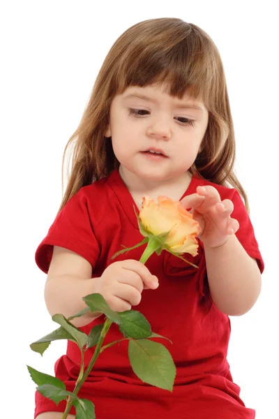 Маленька дитина з жовтим трояндою — стокове фото