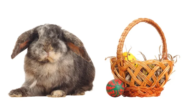 Rabbit and basket with easter eggs — Stock Photo, Image