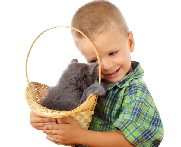 Liten Pojke Med Grå Kitty Rotting Isolerad Vit — Stockfoto