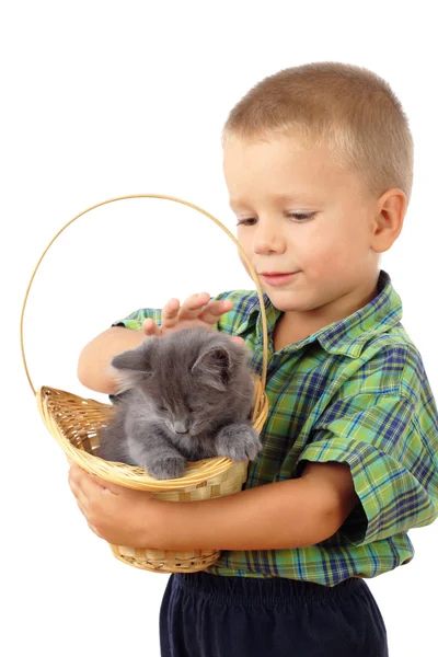 Kleiner Junge, der ein graues Kätzchen in Korbweide streichelt — Stockfoto