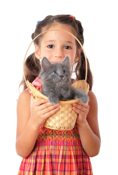 Little girl with gray kitty in wicker — Stock Photo, Image