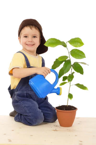 Sorridente bambino annaffiare la pianta — Foto Stock