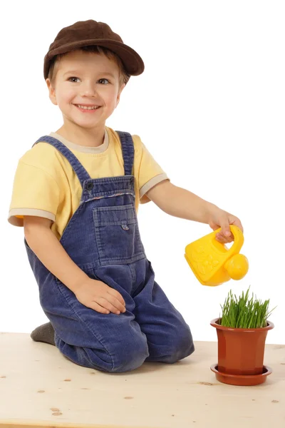 Smiling Little Boy Watering Potted Grass Isolated White — Stock Photo, Image