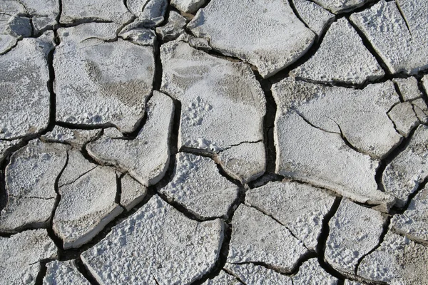 stock image Salinized eroded soil - dry cracked earth