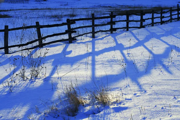 Cerca Madeira Velha Com Sombras Azuis Neve Inverno — Fotografia de Stock