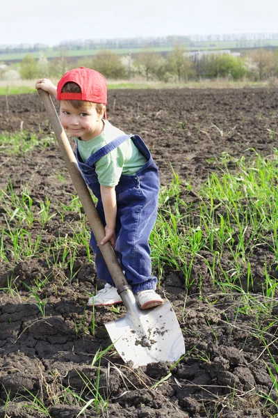 Niño pequeño en el campo con una gran pala — Foto de Stock