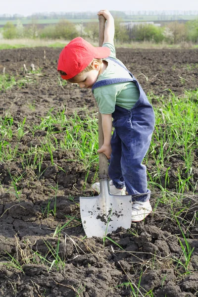 Little Boy Dig Big Shovel — Stock Photo, Image