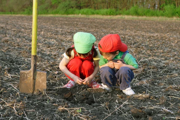 Bambini Piccoli Con Pala Sul Campo Cercando Terra — Foto Stock