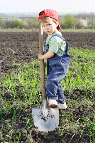 Little boy to dig on field with big shovel Stock Photo