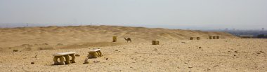 Saqqara desert