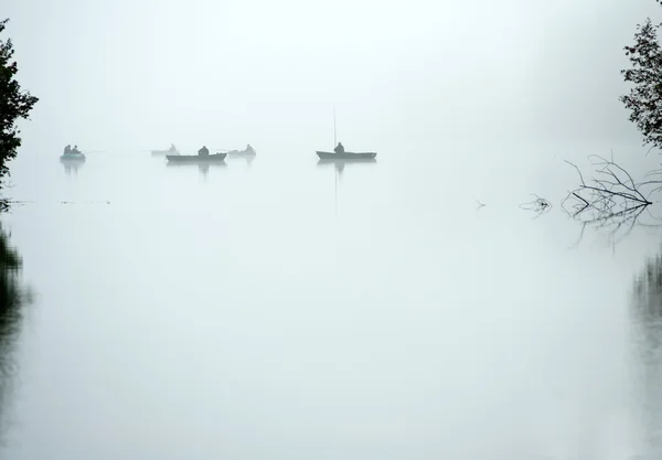 Fischfang am nebligen Morgen — Stockfoto