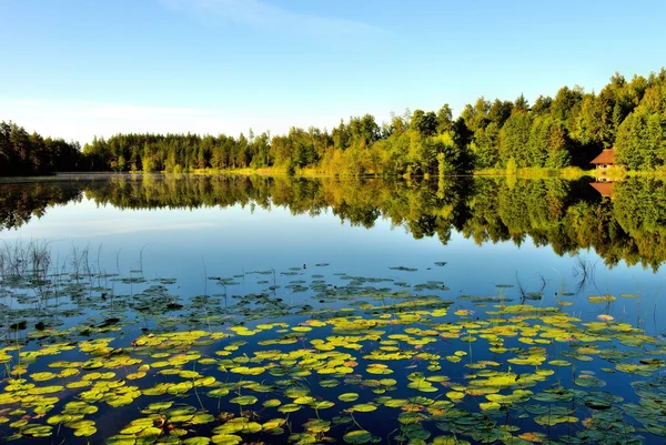 Widok na jezioro z liliami wodnymi — Zdjęcie stockowe