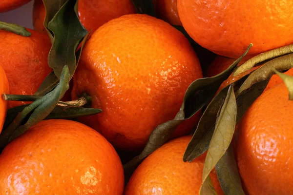 mandalina