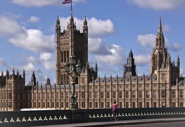 Westminster Sarayı (parça) — Stok fotoğraf