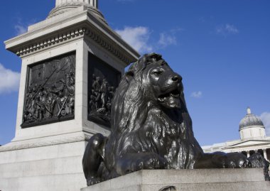 Lion and Nelson`s column on Trafalgar Square in London clipart