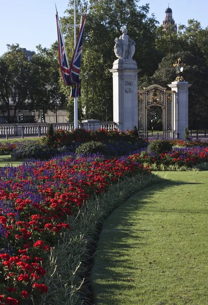 Flowers near Buckingham Palace — Stock Photo, Image