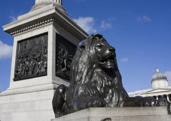 在伦敦特拉法加广场上的狮子和纳尔逊的列 — 图库照片