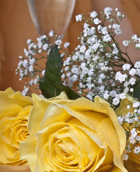 Makro Ampua Kauniita Kukkia — kuvapankkivalokuva